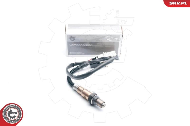 Oxygen Sensor